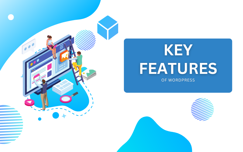 WordPress Review